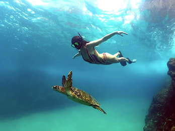 Passeios em Fernando de Noronha - Ilha Tour