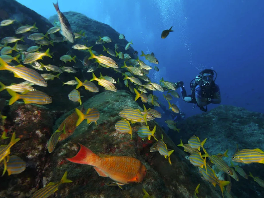 Passeio em Fernando de Noronha - Mergulho Batismo