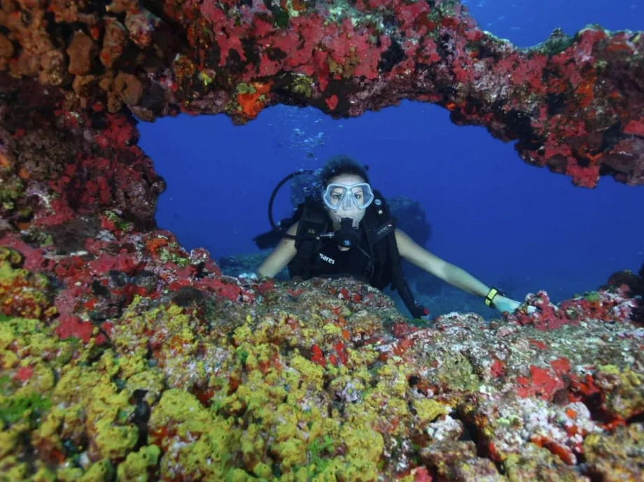 Passeios em Fernando de Noronha - Mergulho Batismo