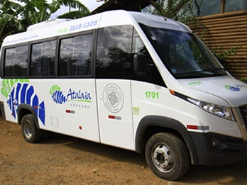 Transfers IN e OUT em Fernando de Noronha